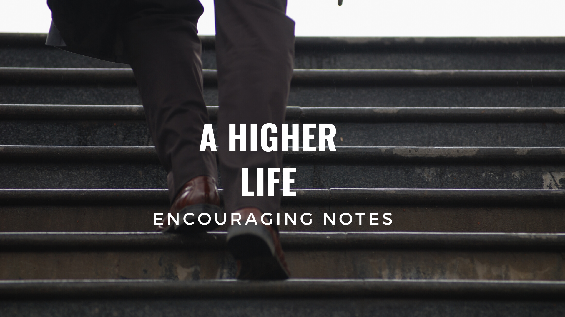 A HIGHER LIFE