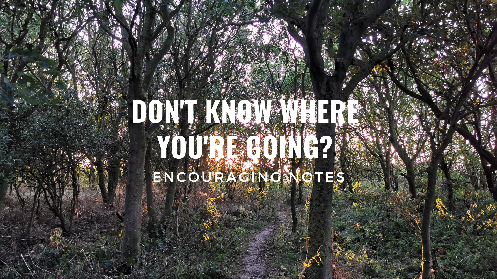 DON'T KNOW WHERE YOU'RE GOING?