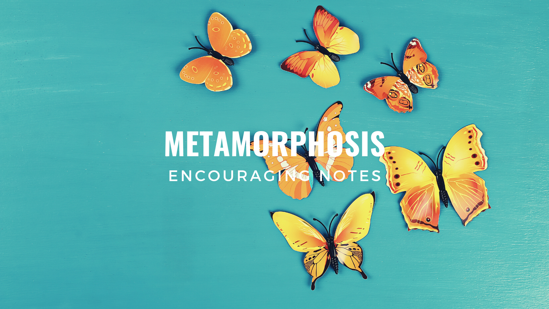 METAMORPHOSIS