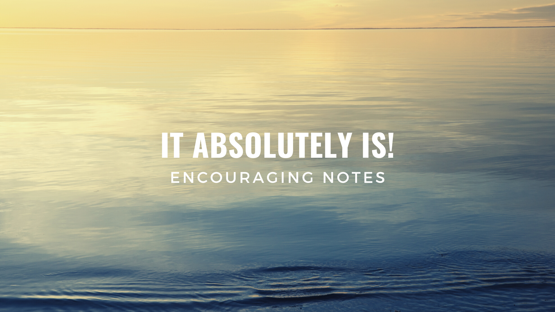 IT ABSOLUTELY IS!&nbsp;
