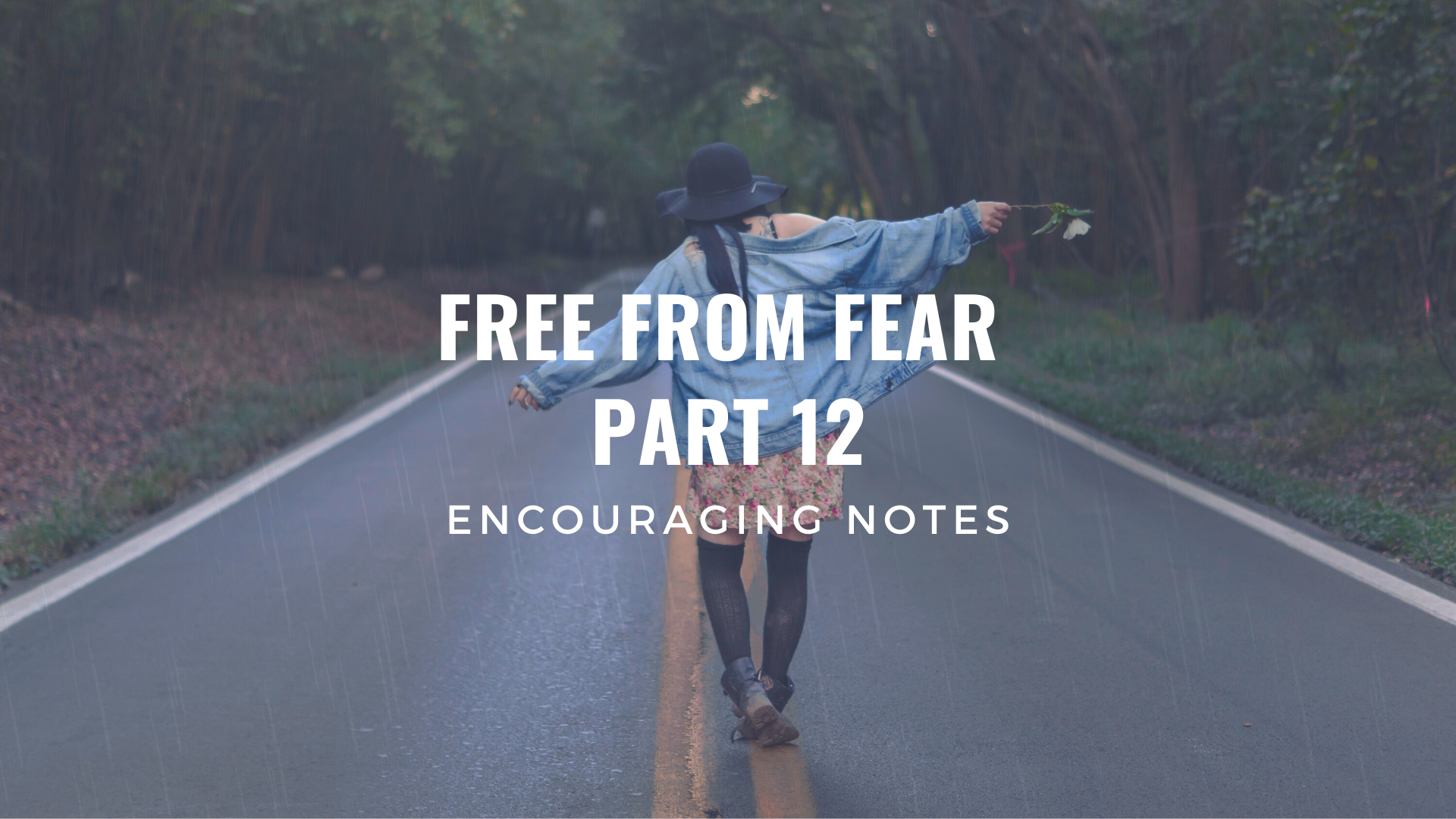 FREE FROM FEAR Part 12