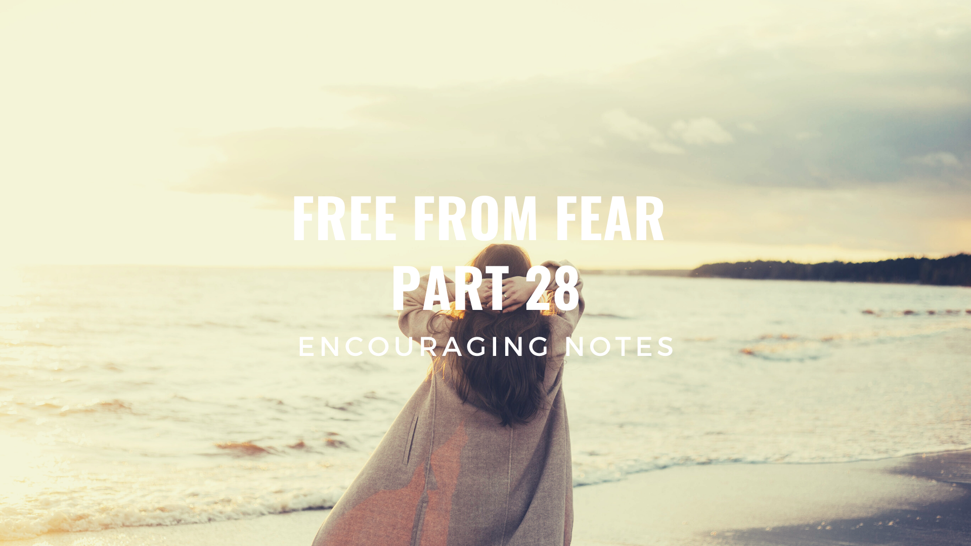 FREE FROM FEAR Part 28