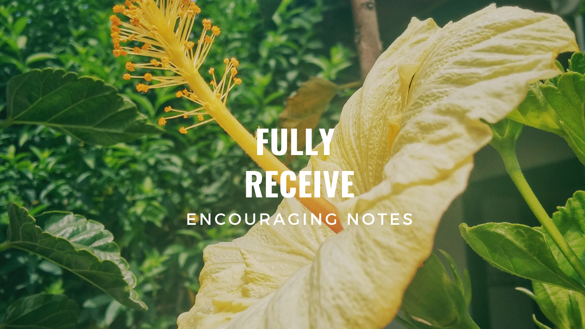 FULLY RECEIVE
