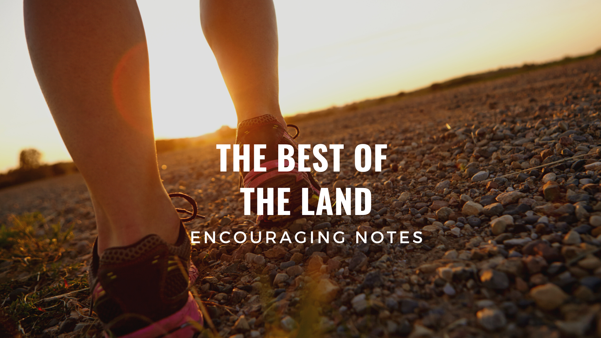 THE BEST OF THE LAND&nbsp;