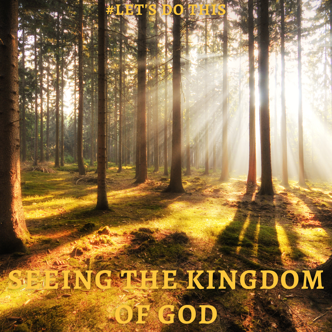 SEEING THE KINGDOM OF GOD
