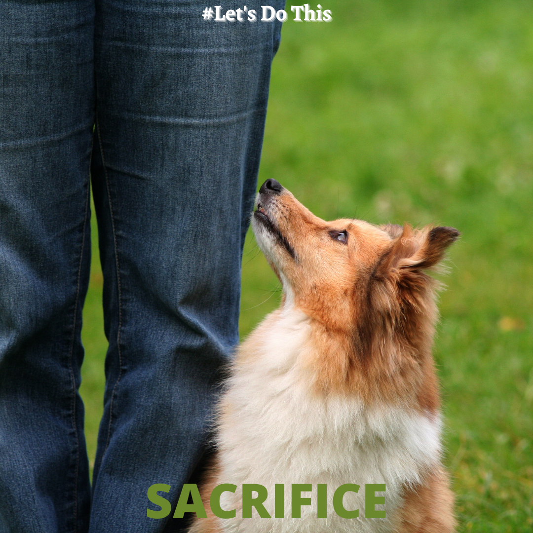 SACRIFICE!