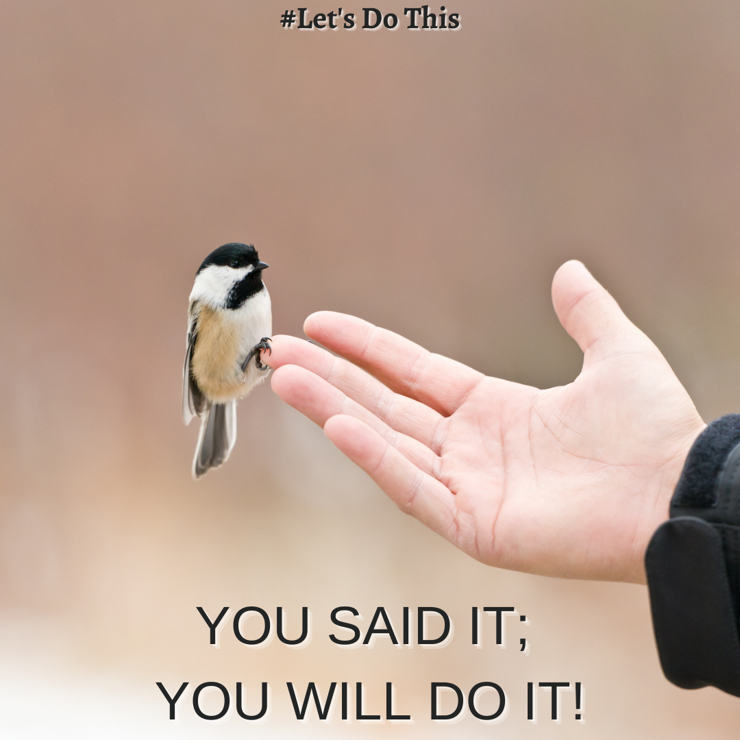 YOU SAID IT; YOU WILL DO IT!