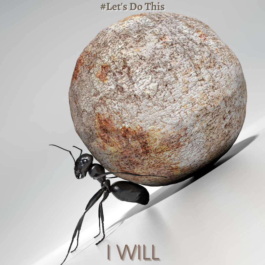 I WILL!