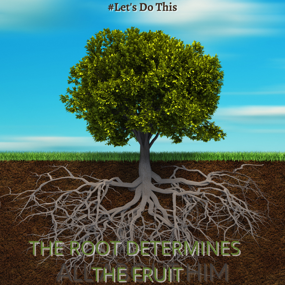 THE ROOT DETERMINES THE FRUIT