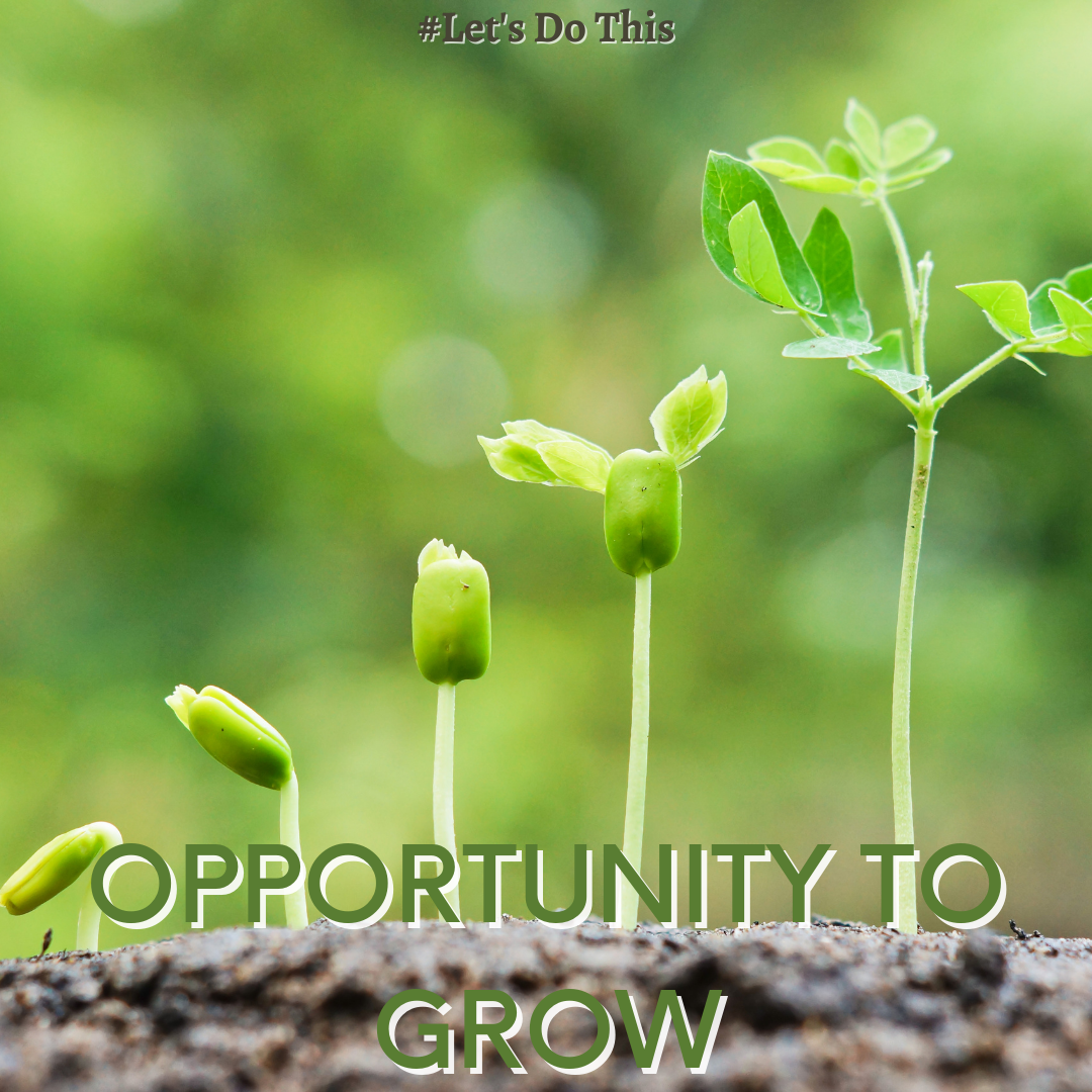 OPPORTUNITY TO GROW