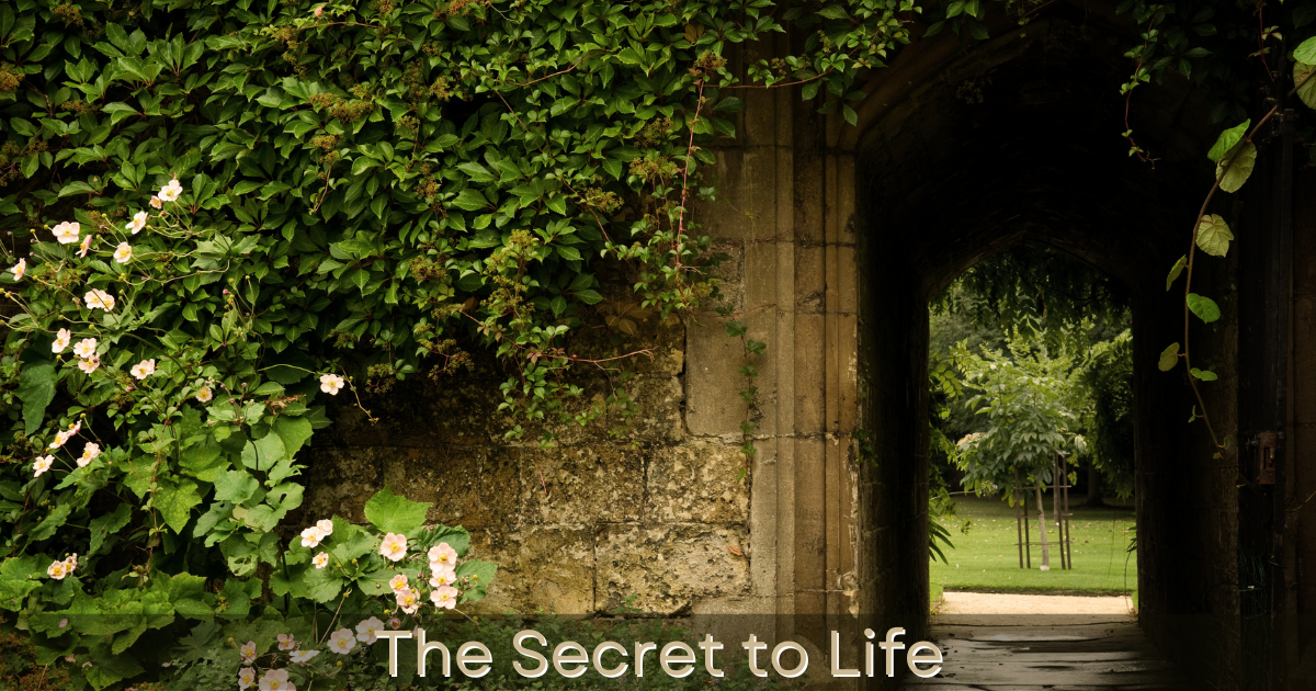 The Secret to Life