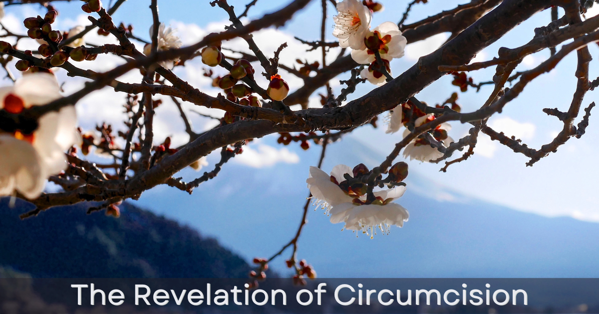 The Revelation of Circumcision