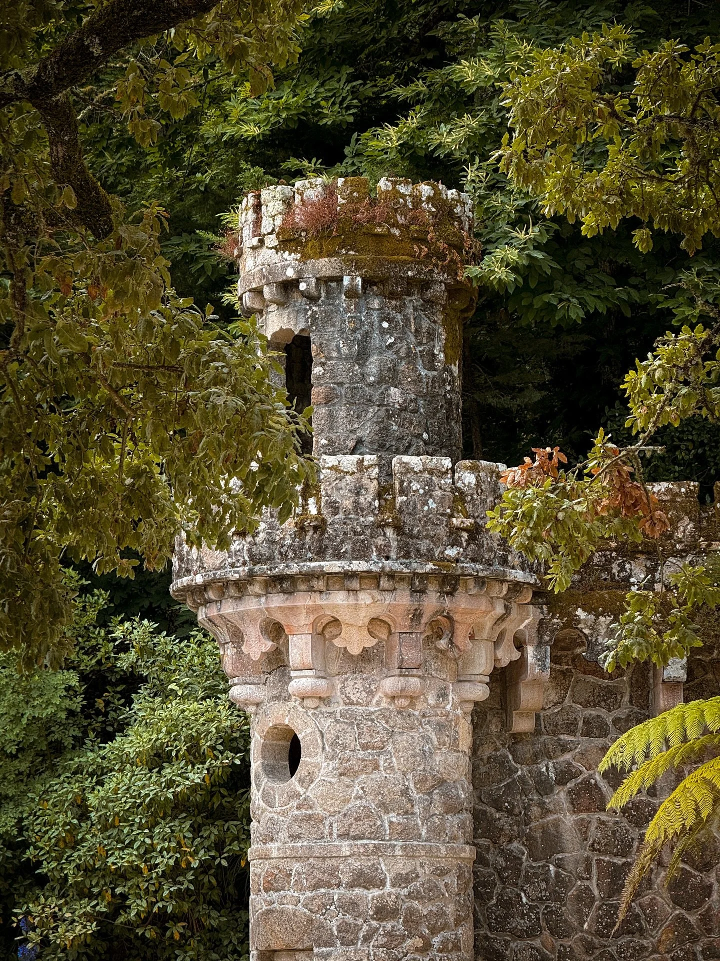 Little moments from the palaces of Sintra ✨
&bull;
#sintra #sintraportugal #penapalace #montserrat #quintadaregaleira