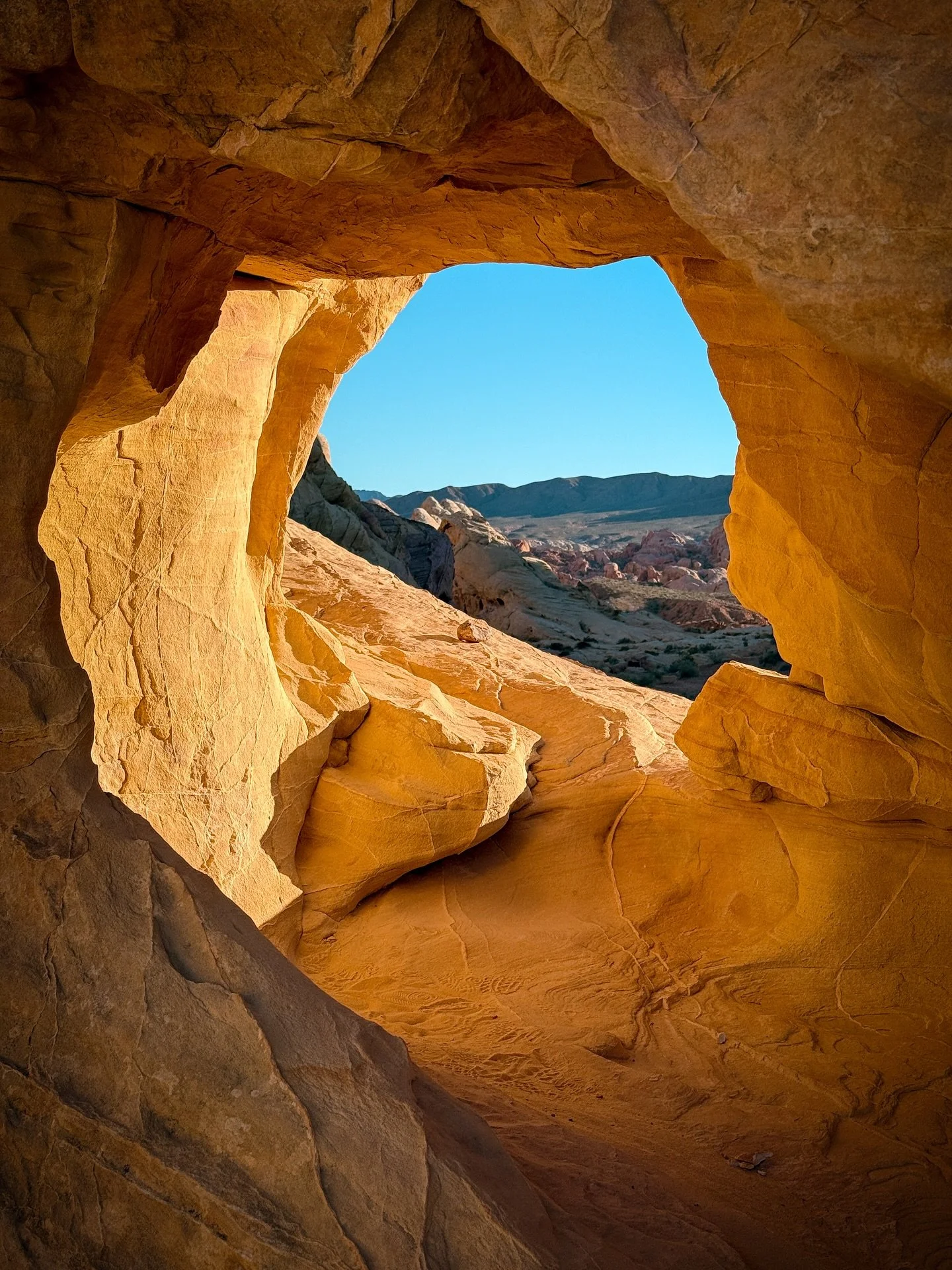 Little moments from Valley of Fire State Park - the rock formations and colors were so incredible!