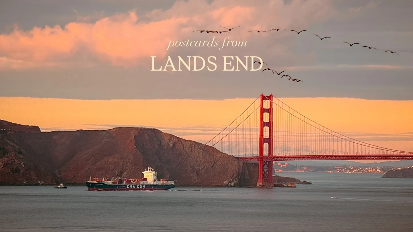 Closing out 2025 with sunset postcards from the edge of the world. Happy New Year, friends!