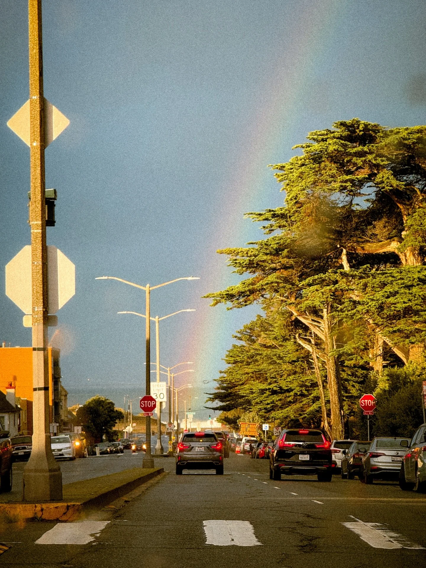 Bits of life lately 🐶