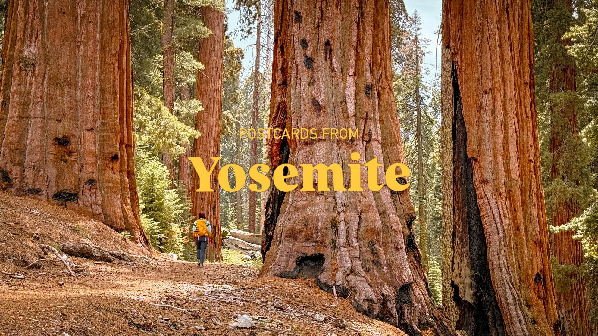 Postcards from Yosemite 🏞️ We were able to explore parts of the park I had never been to before, like Mariposa Grove and Hetch Hetchy, along with some of the classic vistas Yosemite is known for. Visiting in late spring while some of the main roads 
