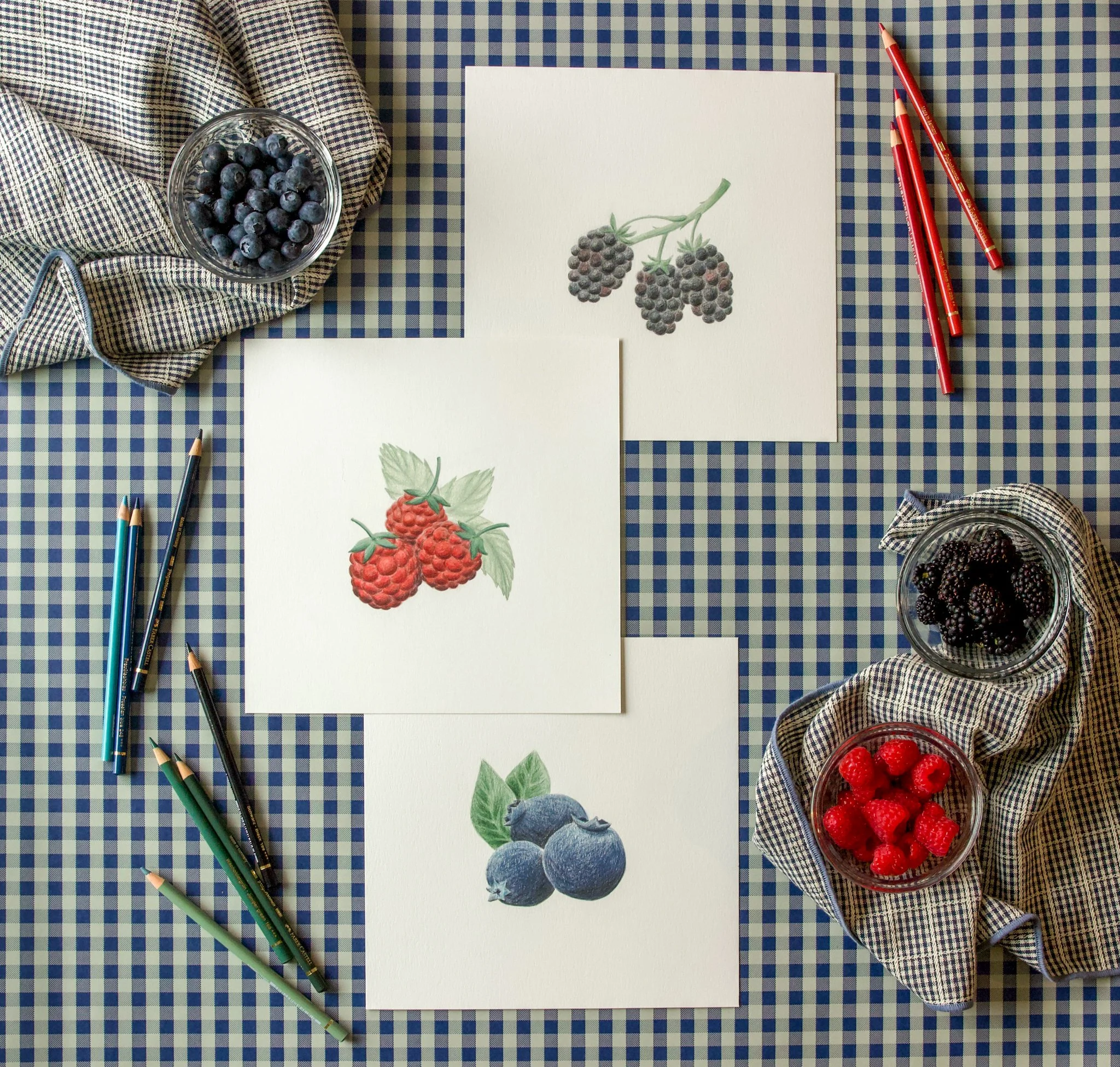 Berry Illustrations