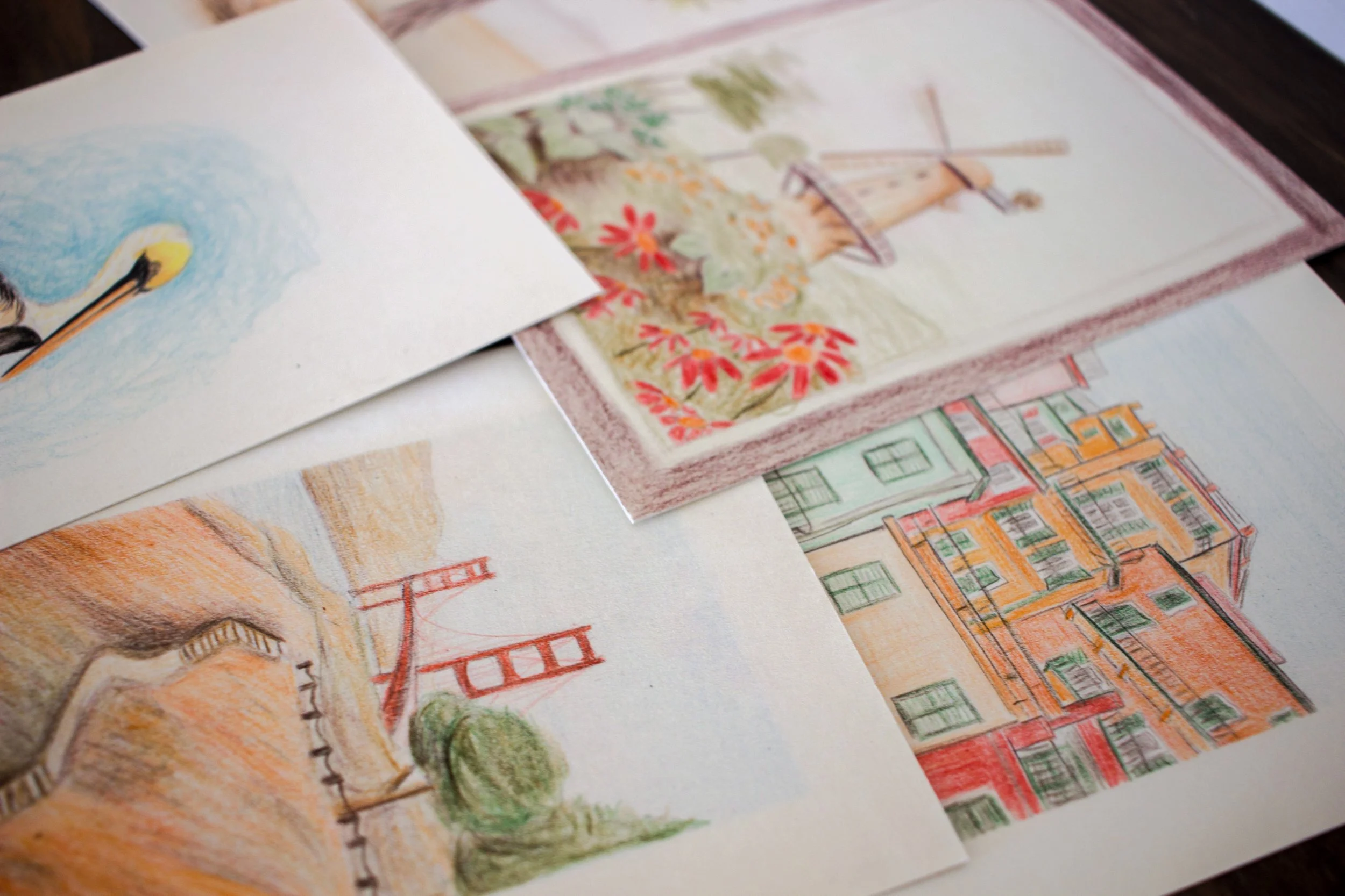 Pencil Illustrations