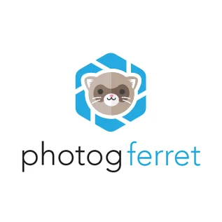 photogferret.jpg