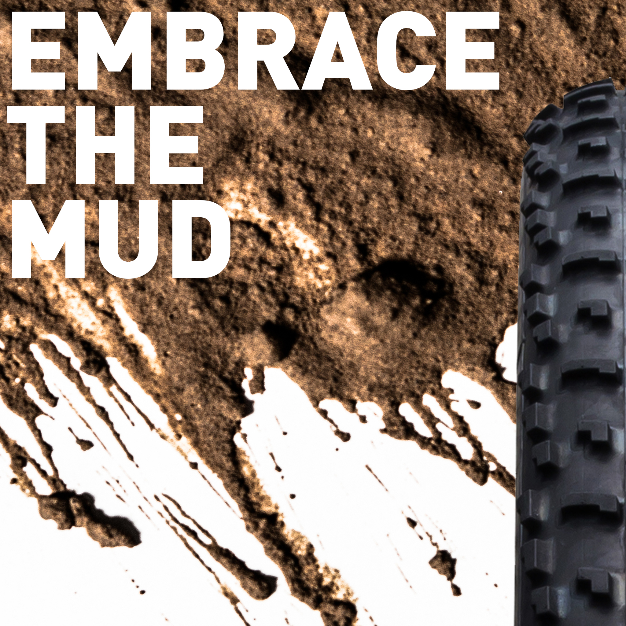 mud_01a.jpg