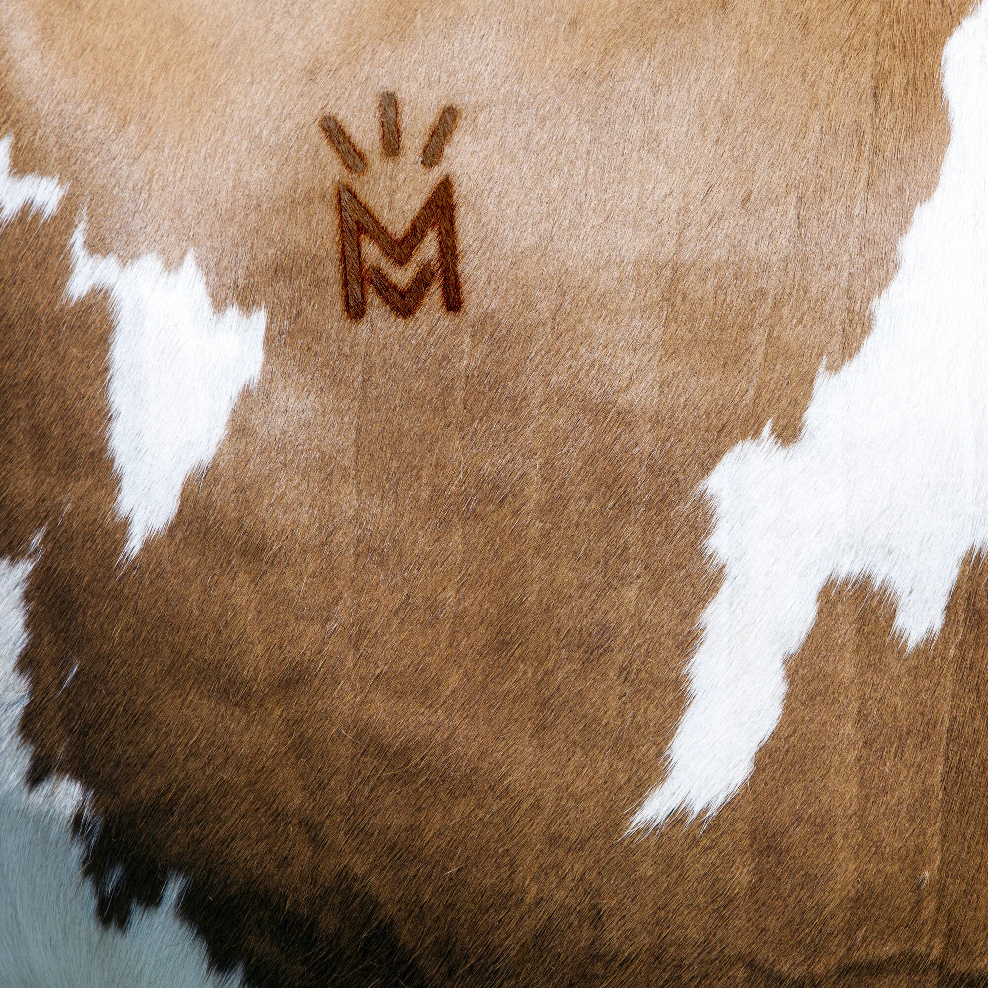 06: Makarios Valley Ranch