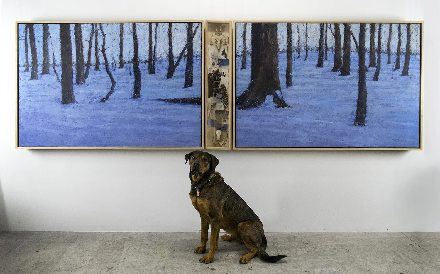 Trespass, oil on canvas with curio cabinet, and the Big Nugget. 48 x 144 inches, pup not included. Available through the artist.