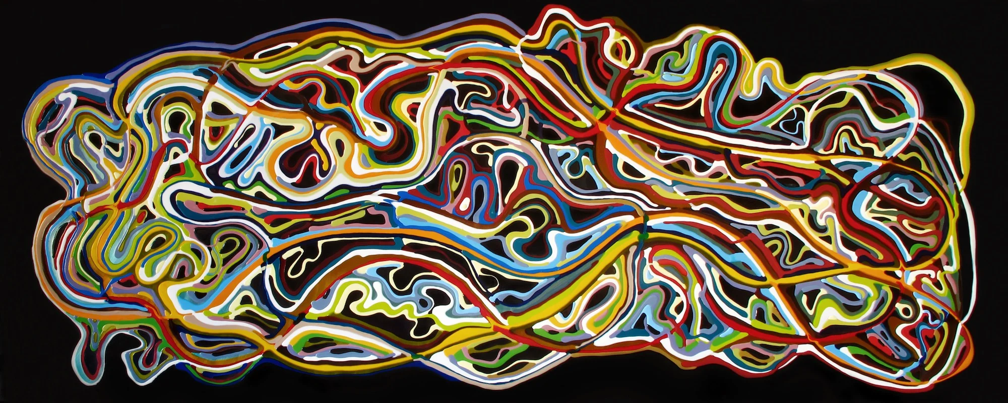 systemic circulation 5 - 48" x 120"