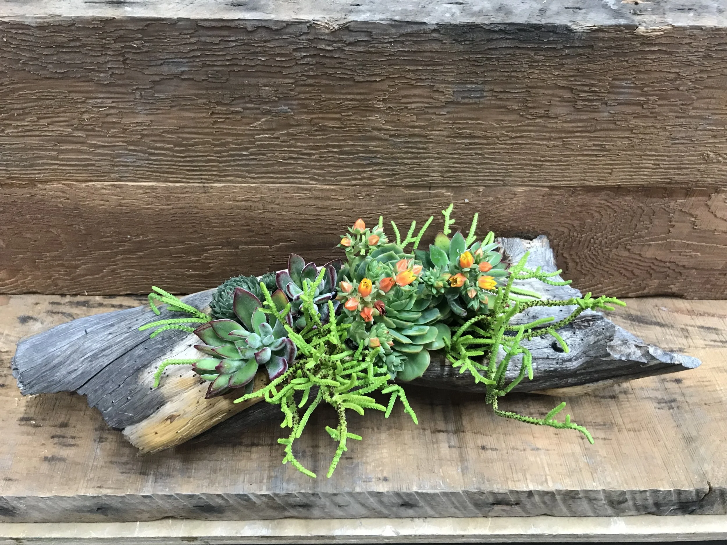 carved out branch container