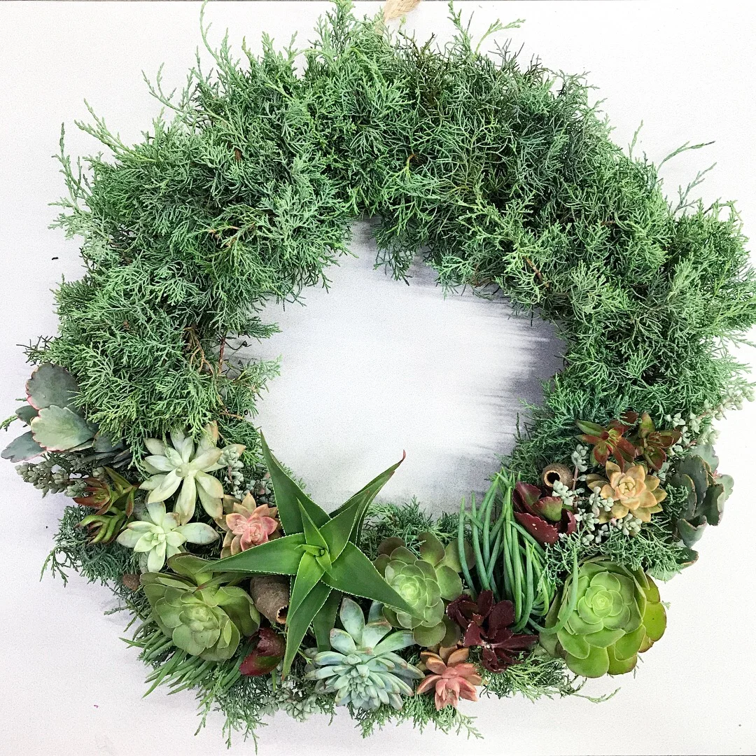 12" Juniper and Succulent Wreath