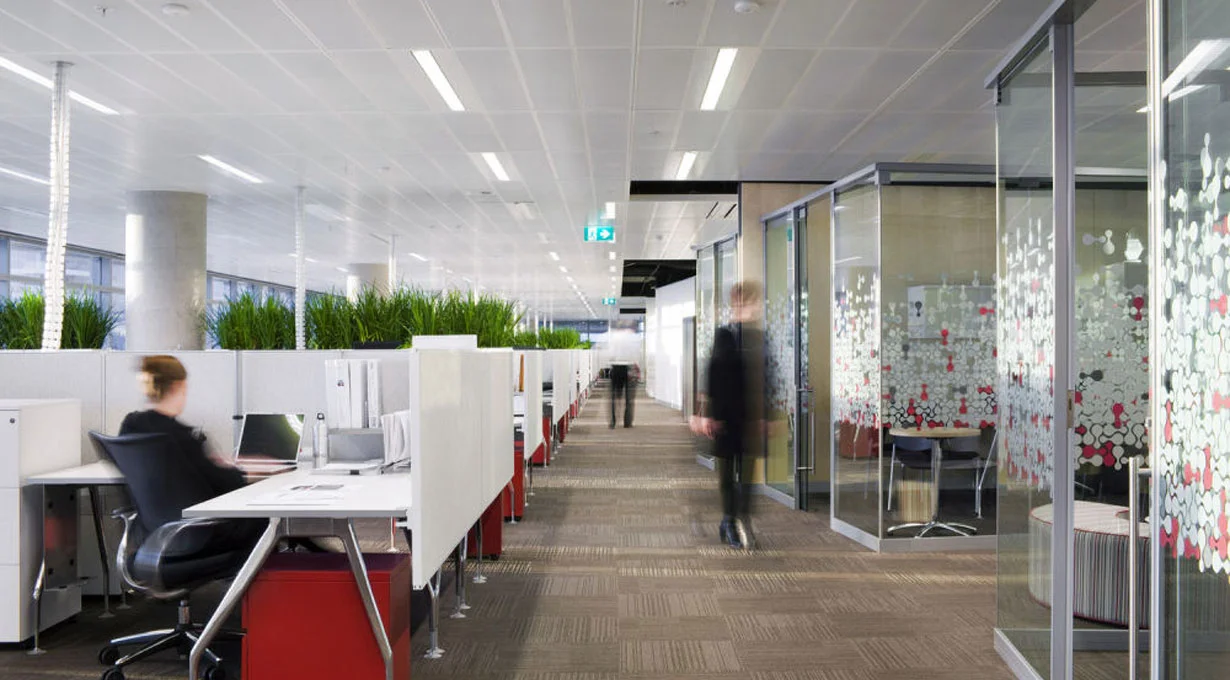 Fitout-2.1.jpg