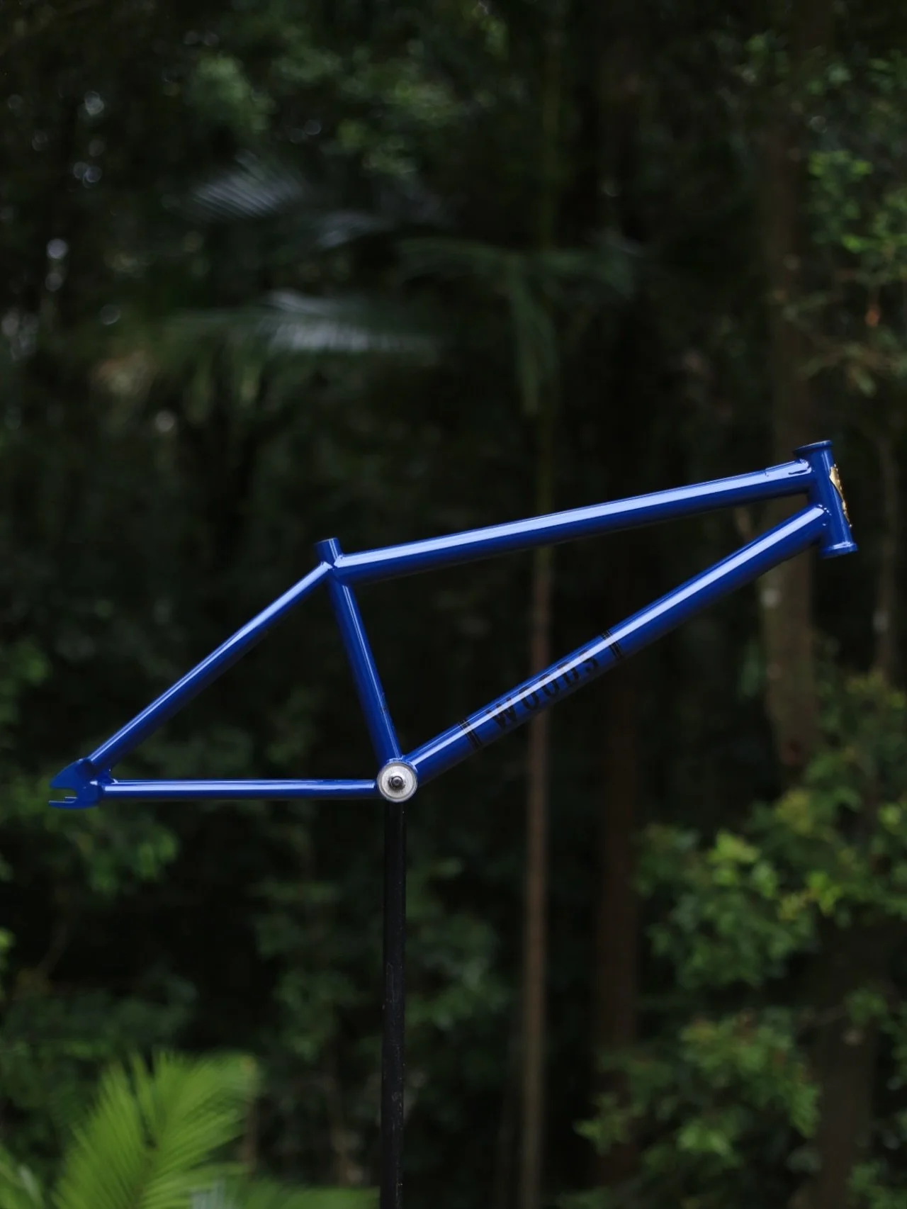 Blue beauty!
Lately we seem to have done more brakeless frames than ever, which we aren’t mad about! 
If you didn’t already know, we offer plenty of brake and routing options - Disc, 990 on either seatstay or chainstay with straight or