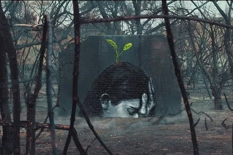 Nāhi - Wildfire Mural by Hula