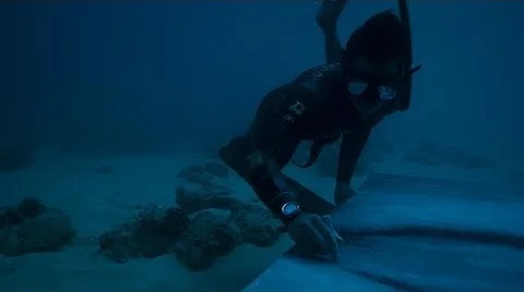 "Deep Seads" PREVIEW