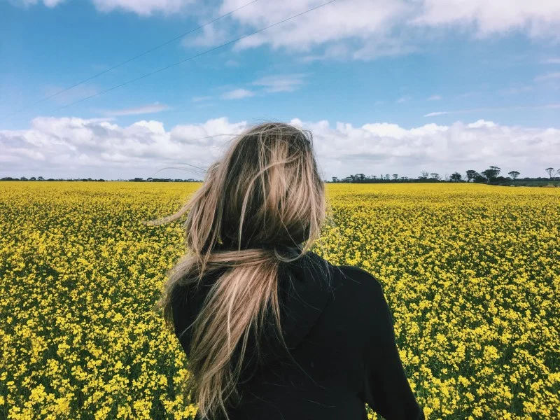 Flora, Western Australia, Ravensthorpe, WA, Road Trip, Travel