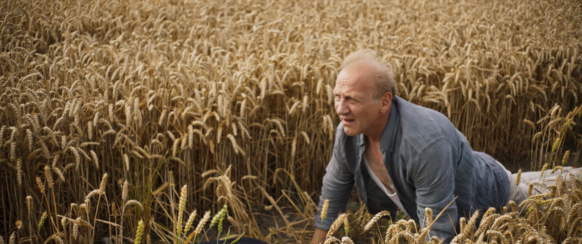 13253_AS_MONSTER_STILLS_Paul_Feld.jpg