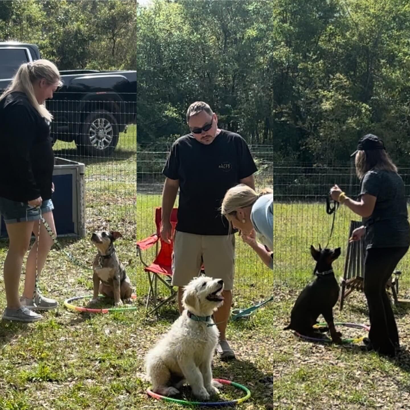 Fantastic Confident Canine Kindergarten Class 1 yesterday. Wonderful teaching moment in this clip. My first training mentor, Stacy Strickland, taught me how to set up a classroom that helps to effectively train the humans.
 -
Break things down and go