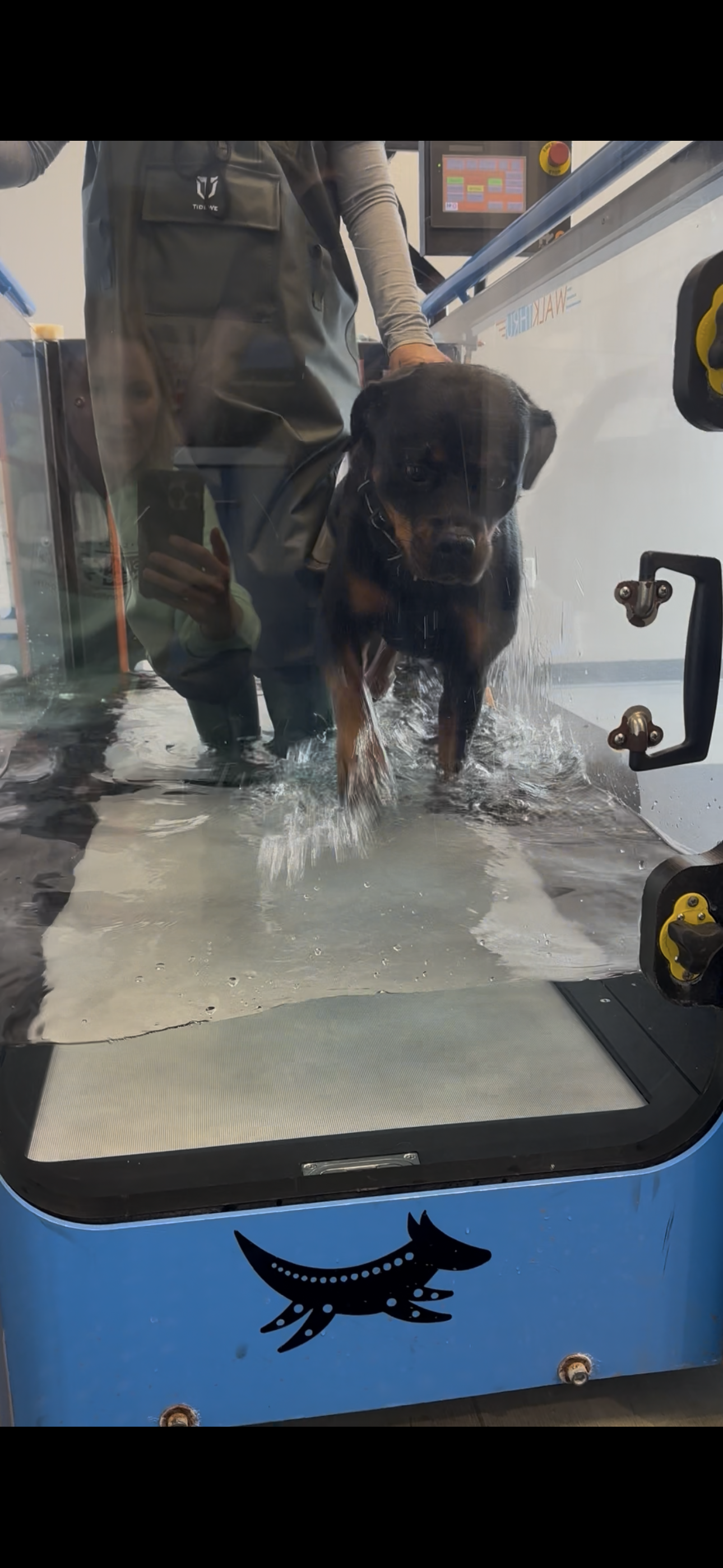 Why your dog doesn't listen to you, part 4