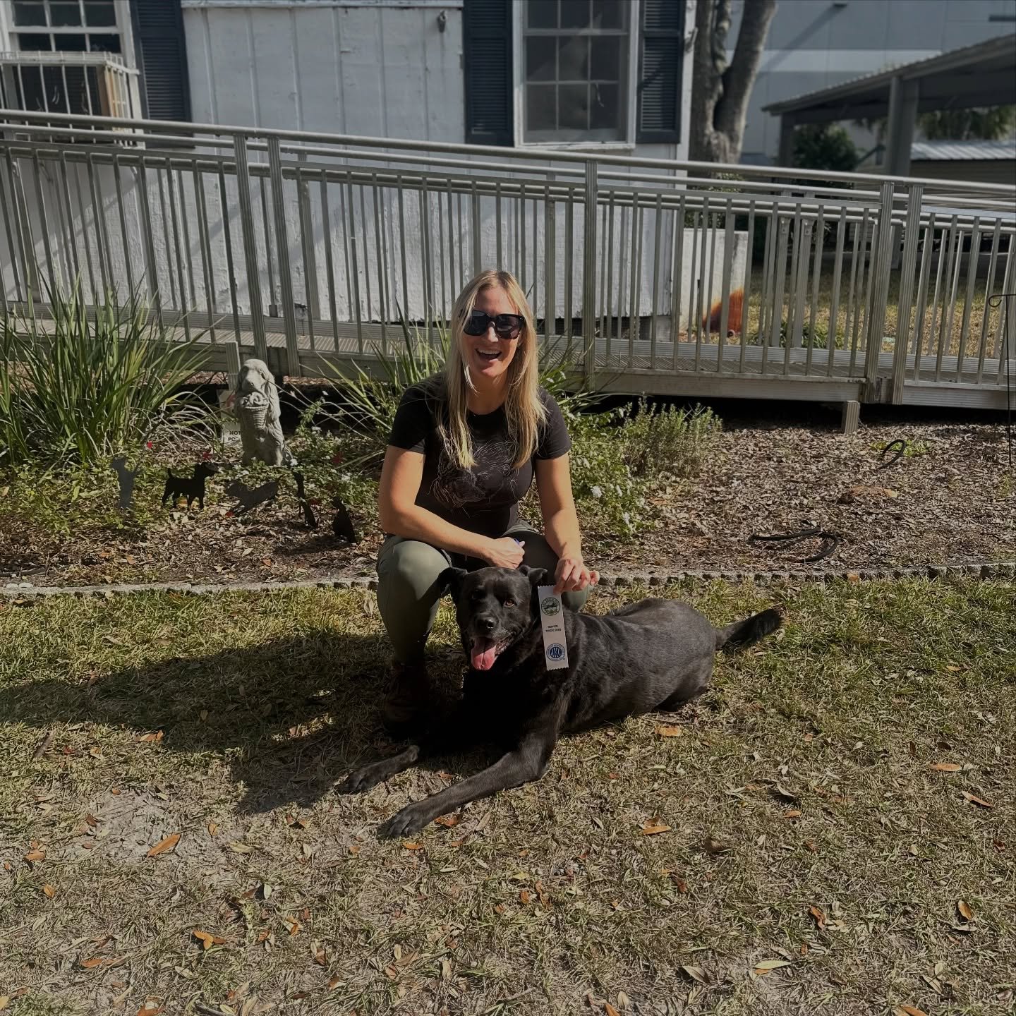 Saxon got his Novice Trick Dog title at almost 13 years old! Surprisingly he decided to whisper when told to bark on cue, when normally he&rsquo;s over the top loud. Proof your senior dog CAN still do things.
 -
Xander got his Intermediate Trick Dog 