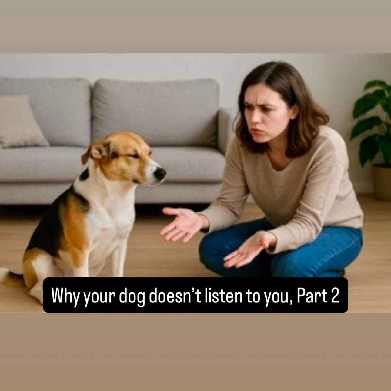 Why your dog doesn&rsquo;t listen to you, Part 2.
 -
Link to read:
https://www.comprehensivecaninetraining.com/blog/2025/11/18/why-your-dog-doesnt-listen-to-you-part-2
 -
#comprehensivecaninetraining #teachthedog #train the human #dogtraining #dogtra