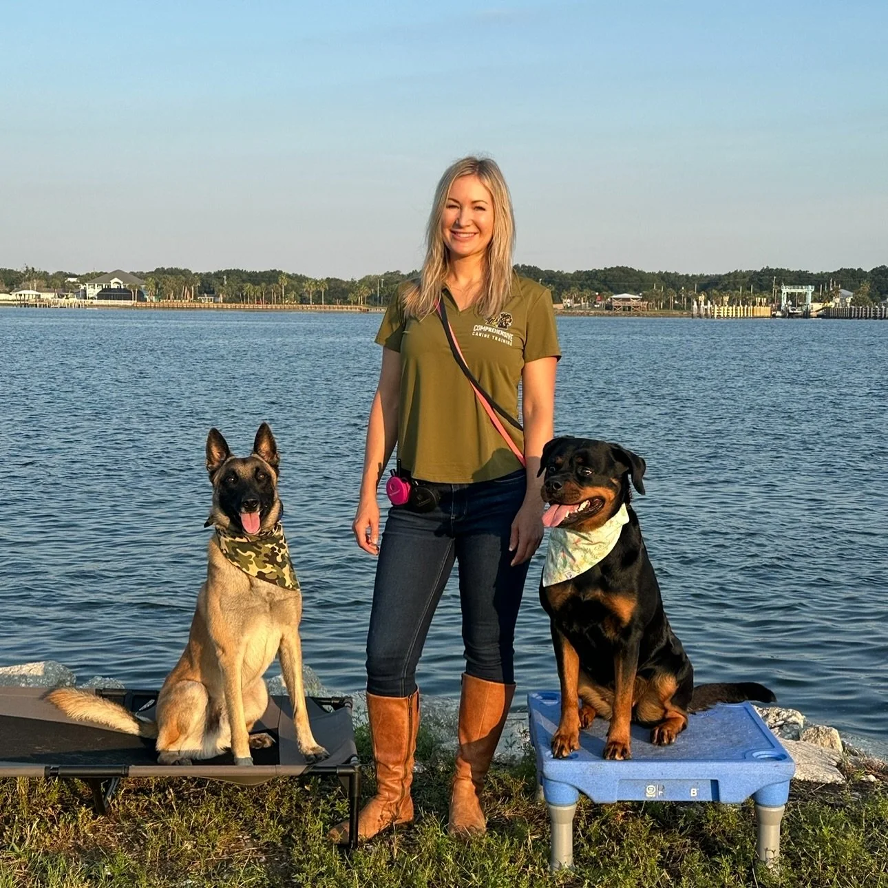 Three ingredients for a well-trained dog: +consistency
+ clarity of task
+ a good relationship. 
Without these three ingredients, you&rsquo;re driving blind with a dog that is guessing and may not even trust you.
 -
Two very different dogs, same hand