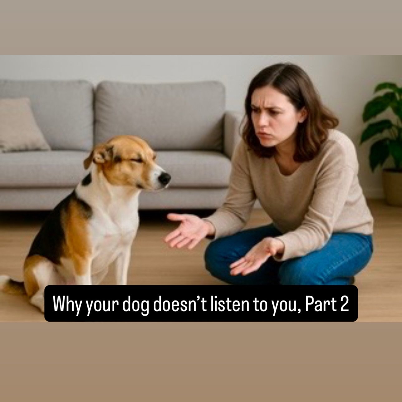 Why your dog doesn&rsquo;t listen to you, Part 2.
 -
Link to read:
https://www.comprehensivecaninetraining.com/blog/2025/11/18/why-your-dog-doesnt-listen-to-you-part-2
 -
#comprehensivecaninetraining #teachthedog #train the human #dogtraining #dogtra