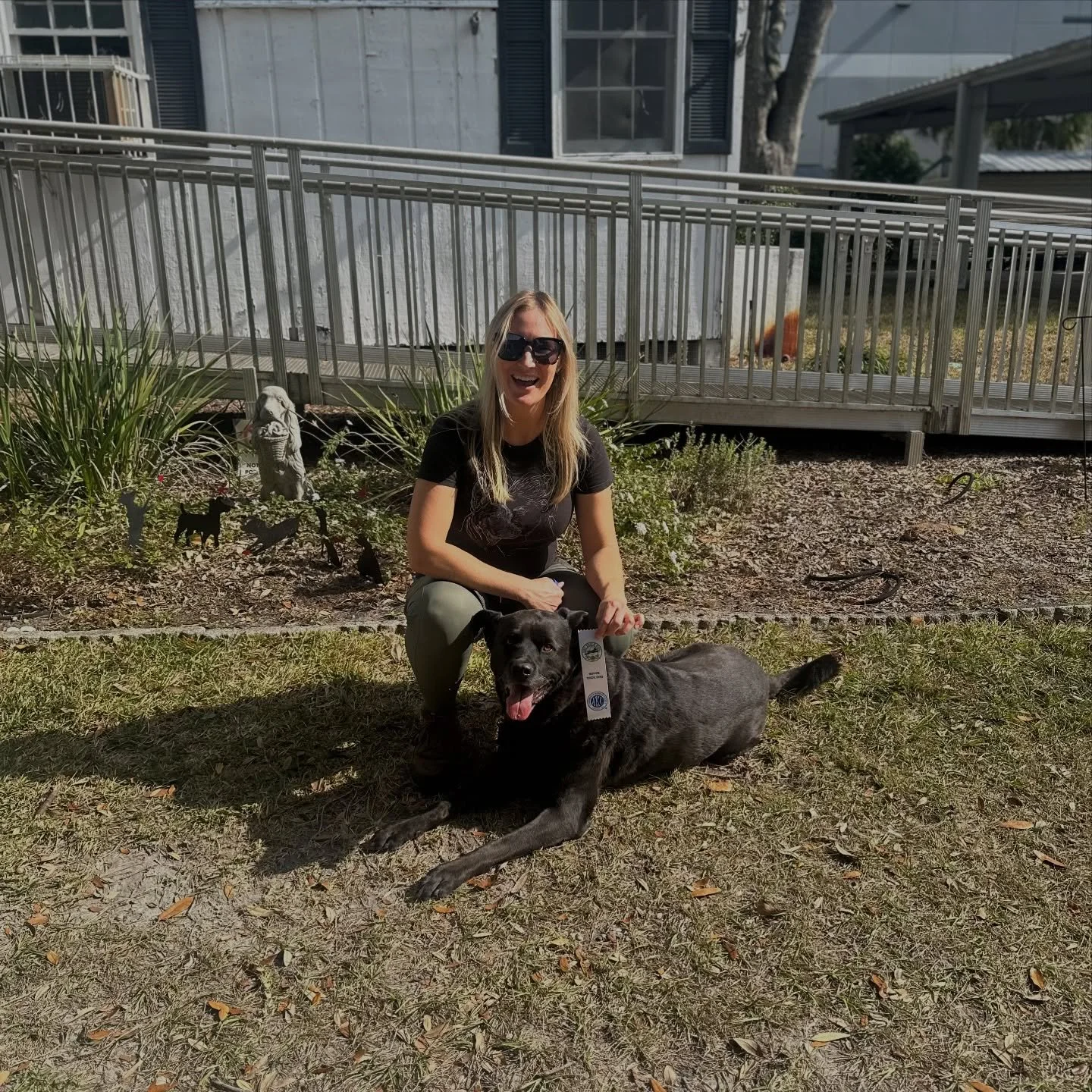 Saxon got his Novice Trick Dog title at almost 13 years old! Surprisingly he decided to whisper when told to bark on cue, when normally he&rsquo;s over the top loud. Proof your senior dog CAN still do things.
 -
Xander got his Intermediate Trick Dog 