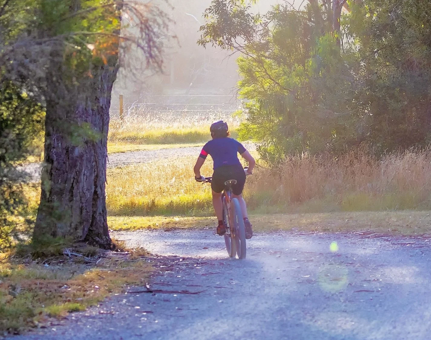 Mød foråret med mere energi 