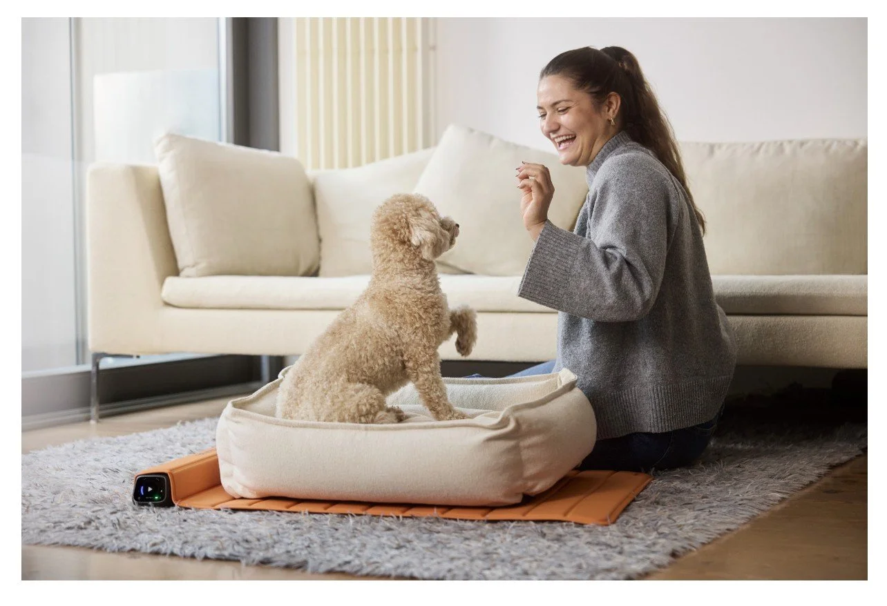 Passer både til din hund og dit hjem