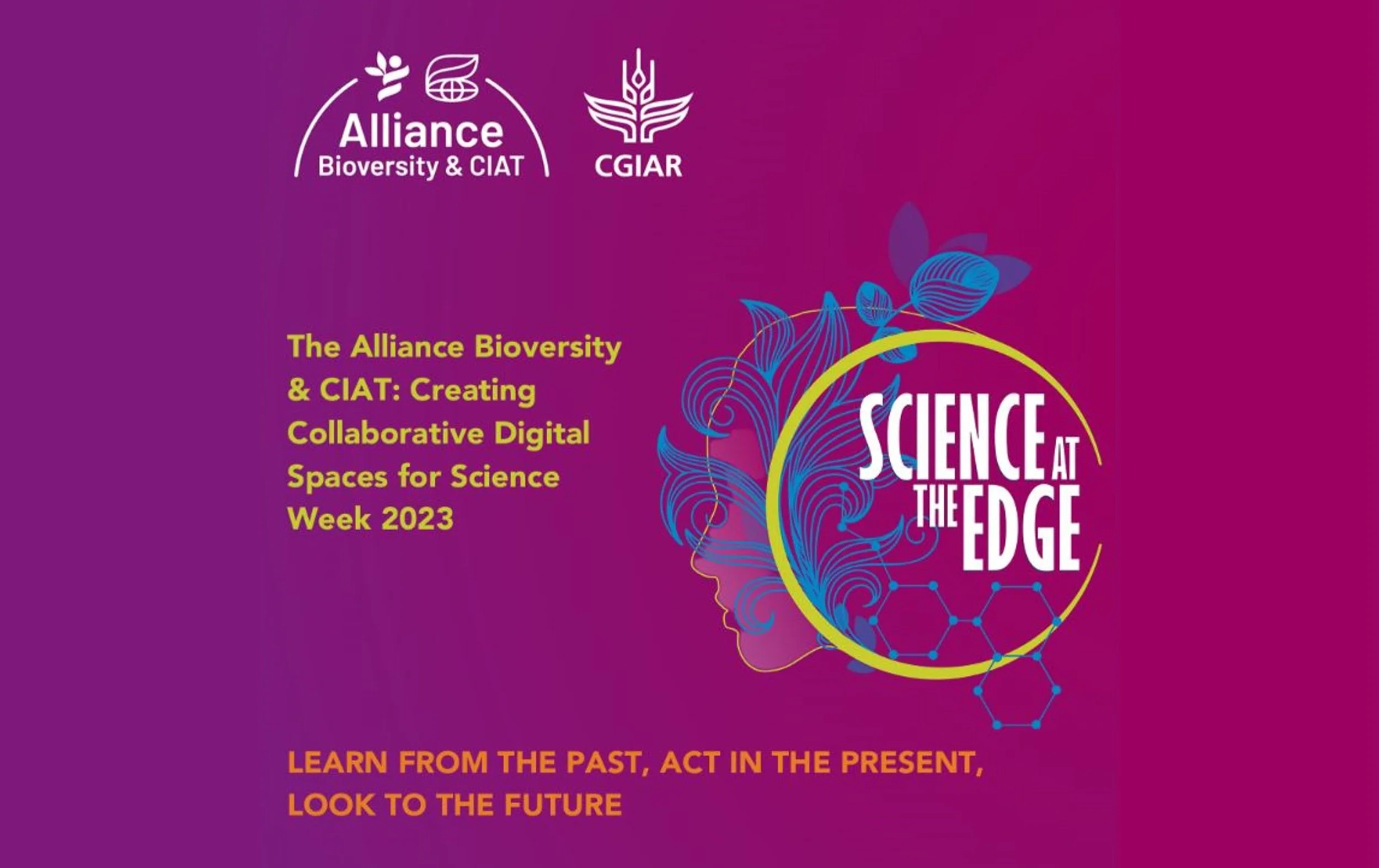 Creating Collaborative Digital Spaces