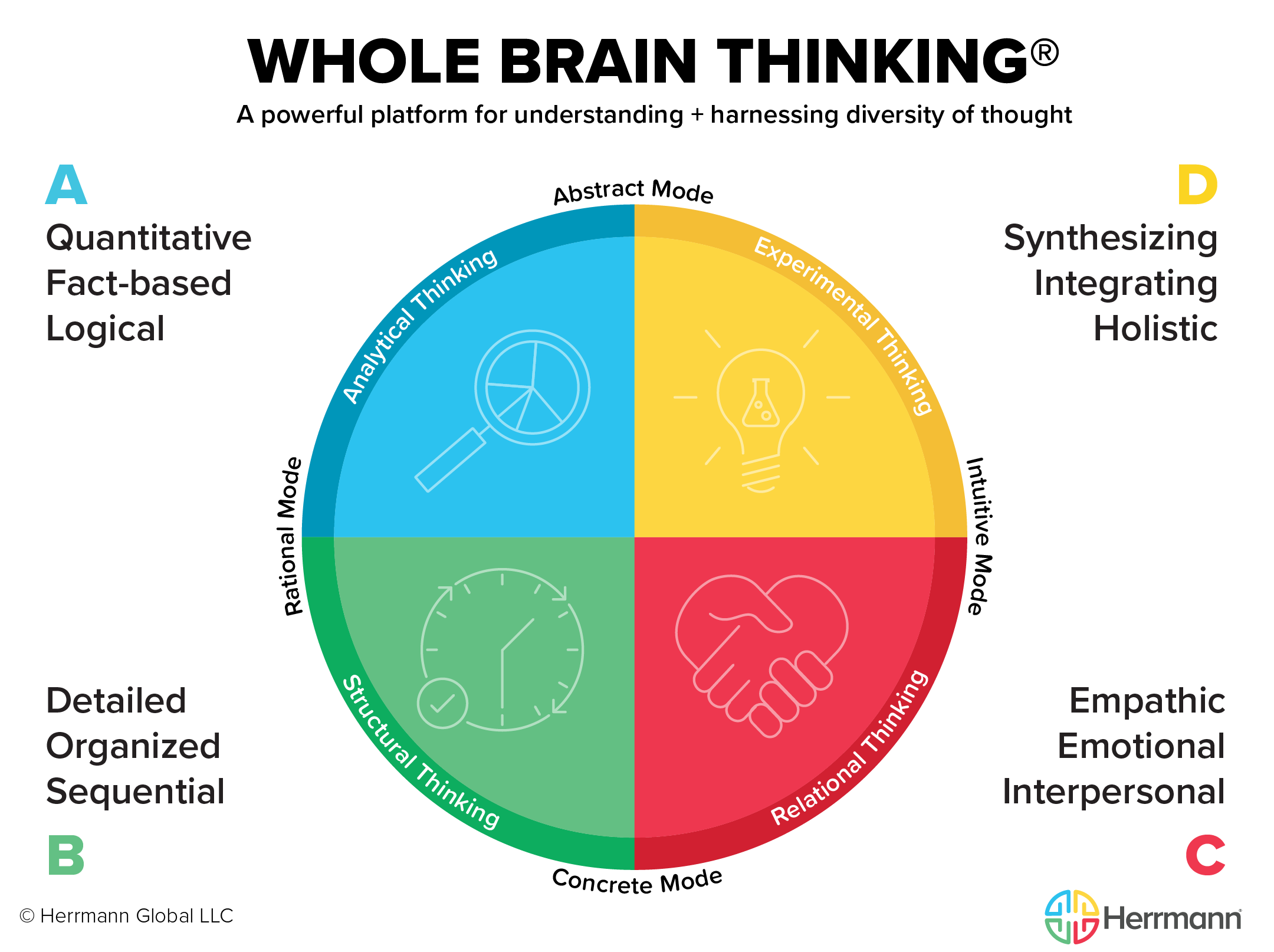 Whole Brain®&nbsp;thinking and its role in leadership success