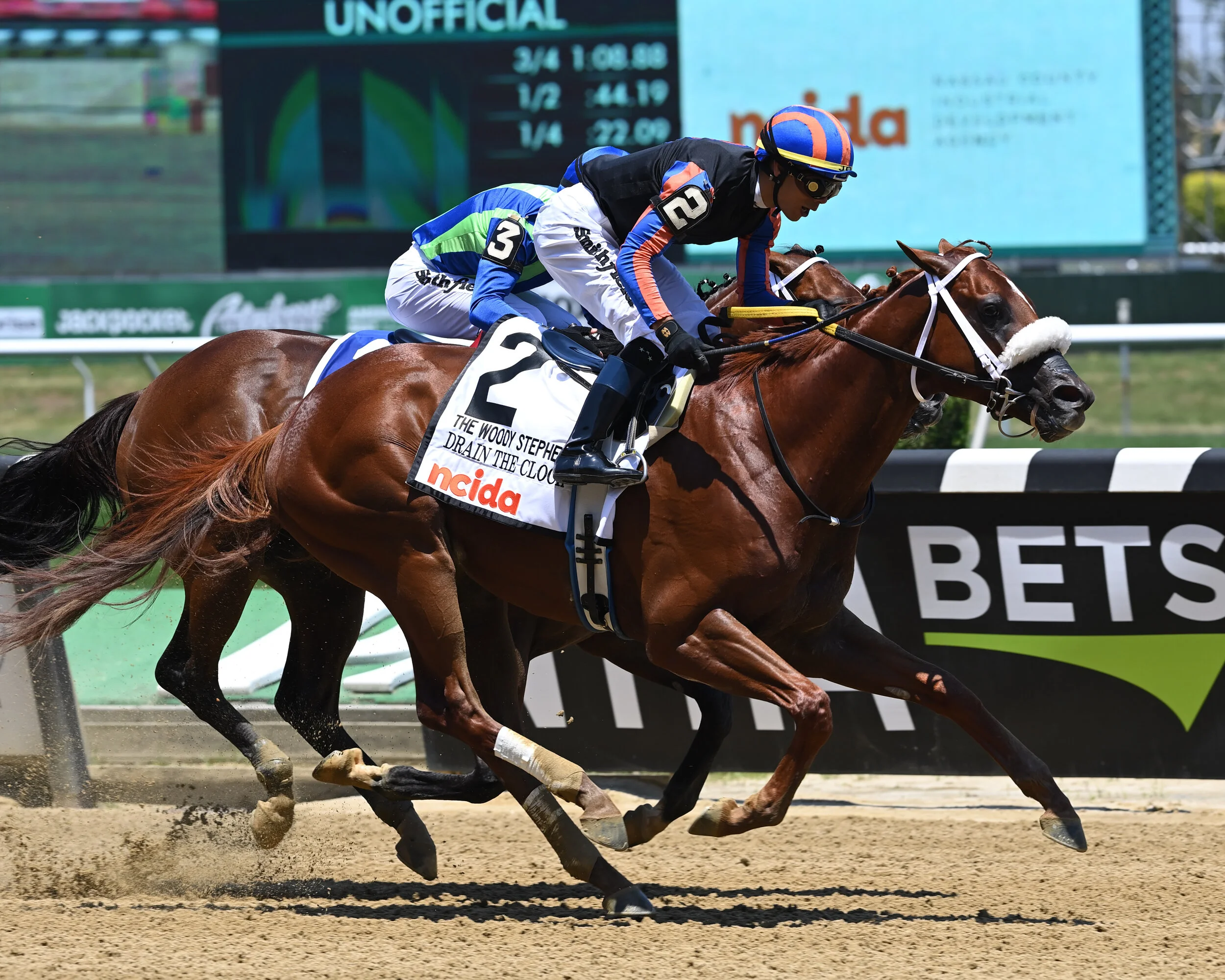 ALUMNI — War Horse Place