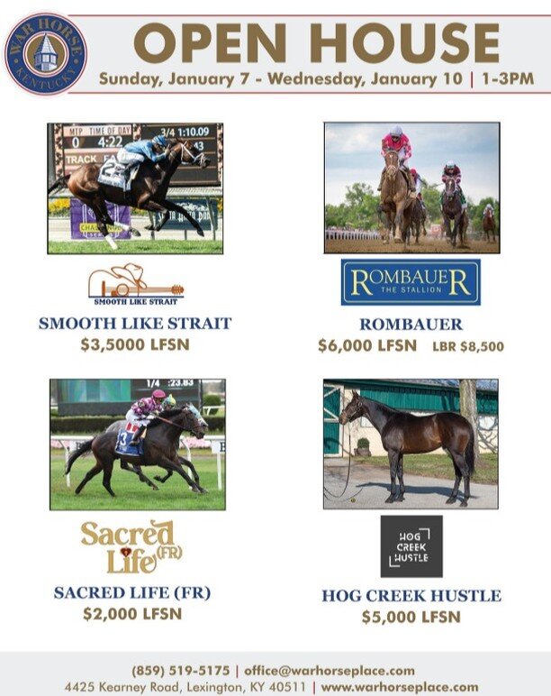 Please join us for our 2024 Stallion Show at War Horse Place Farm!!

This Sunday, January 7th through Wednesday, January 8th from 1-3pm

Farm Address:
4425 Kearney Road
Lexington, KY 40511