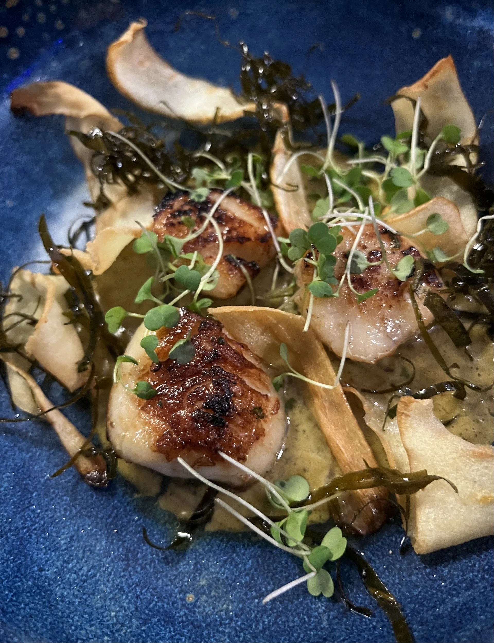 scallops.jpg